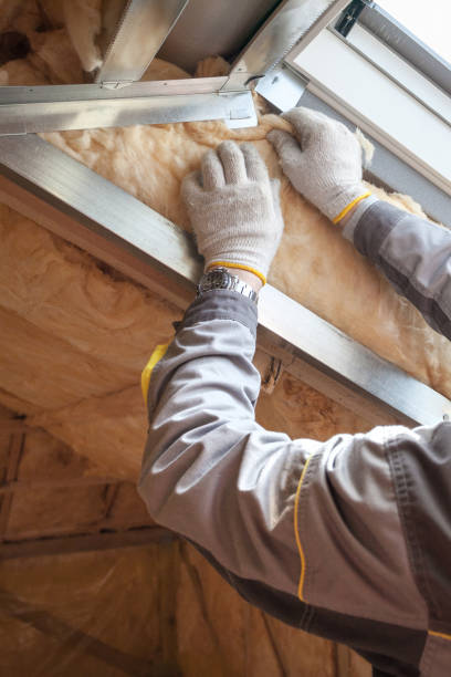 Best Specialized Insulation Services in USA