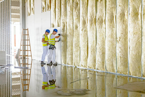 Best Cellulose Insulation in USA